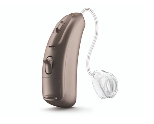Receiver-in-canal (RIC) Hearing Aids